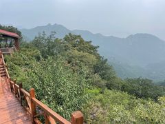 -大岭沟猕猴桃谷风景区
