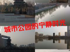-迎泽公园