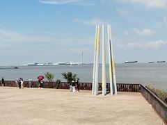 -上海滨江森林公园