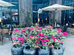 -瓦库茶馆17号(海汇港店)