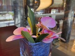 -红泰·泰精选·特色料理(中山路店)