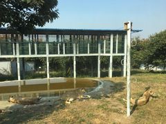 -西安秦岭野生动物园