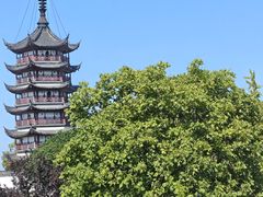 -观潮胜地公园