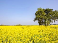 -中国天府农业博览园