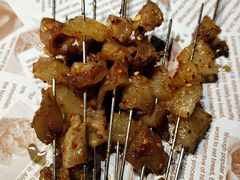 -鼎原力量东北吊炉烧烤(临河街店)