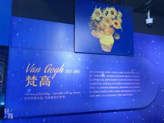 -梵高星空艺术馆(北京旗舰店)
