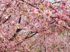 -白塘生态植物园