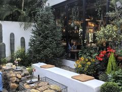 -自由生长植物工作室(深港花卉中心店)