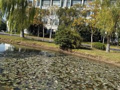 -杭州师范大学(下沙校区)