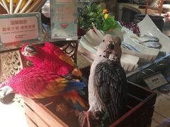 -杭州开元森泊度假乐园