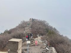 -千佛山风景名胜区