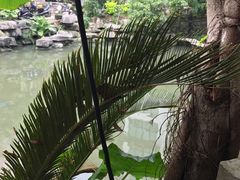 -山色西餐·柴火烤披萨