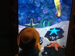 -沈阳海洋探索中心