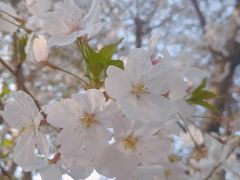 -南翔镇银翔湖公园