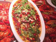 -杨氏青龙虾·羊蝎子(托乐嘉店)