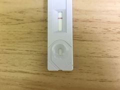 -瑞鹏宠物医院·宠保定点·心脏科·内科(御桥分院)