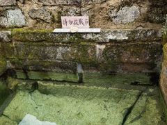 -永州阳明山国家森林公园