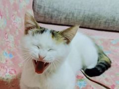 -美迦爱-牙专科·兔科·骨科诊疗中心(北苑店)