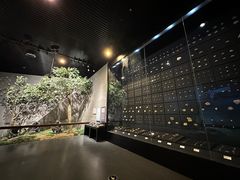 -北京周口店北京人遗址博物馆