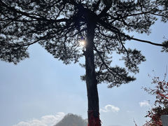 -秦岭终南山世界地质公园翠华山景区
