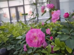 -泉乐坊步行街(烟酒特产平价超市店)