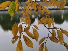 -河海大学(江宁校区)