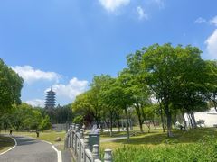 -宜兴龙背山森林公园
