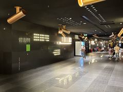 -金逸影城(宝安大仟里IMAX激光店)