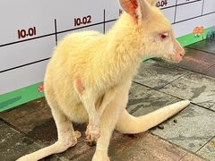 -宁波野生动物园