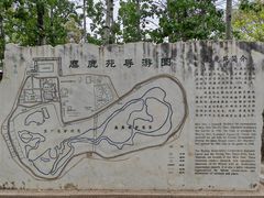 -北京麋鹿生态实验中心