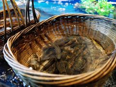 -大灶头·新昌菜(中国茶市店)