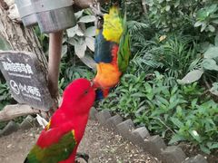 -南宫五洲植物乐园