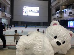 -冰纷万象滑冰场(二七万象城店)