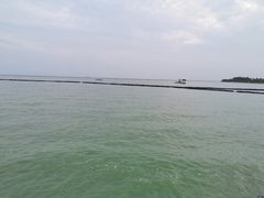 -合肥滨湖国家森林公园