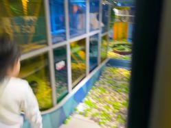 -KidSteam儿童乐园(富力城店)