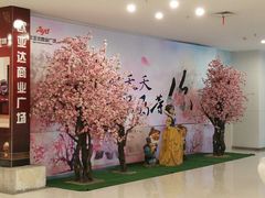 -欧亚达商业广场(红桥店)