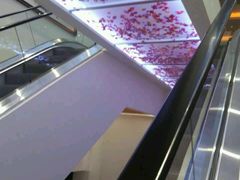 -家乐比水文化休闲广场(望花都店)