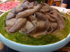 特色鲜毛肚-一斗火锅·招财羊毛肚(北温泉九号店)