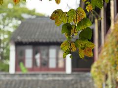 -寒山寺