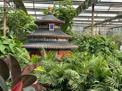 -南宫五洲植物乐园