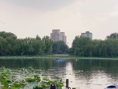 -WhaleSports户外水上运动俱乐部(朝阳公园店)