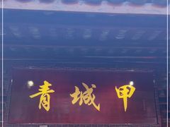 -青城甲(青城山店)