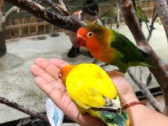 -上海大自然野生昆虫馆(东方明珠·爬宠昆虫探索中心)