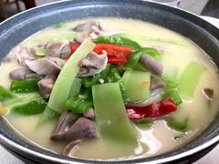 -食家鸽园