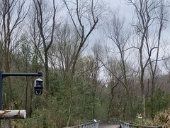 -西湖风景区-江洋畈生态公园
