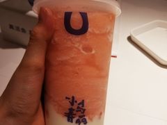 -春丽小马(济南恒隆广场店)