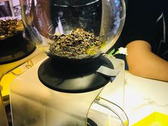 -茶是一枝花泡茶店