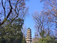 -灵谷景区