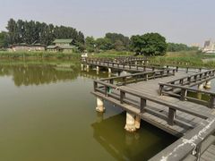 -海上田园