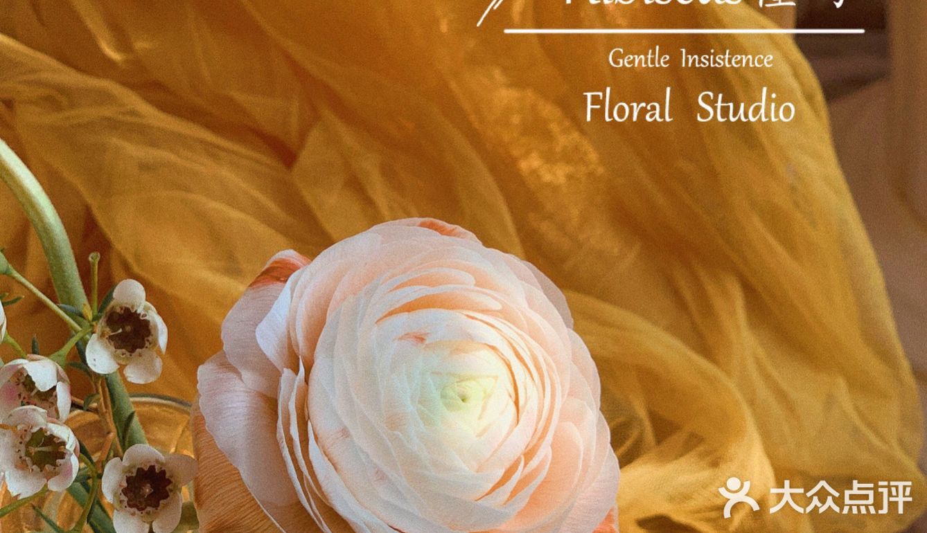 准备入夏的午后